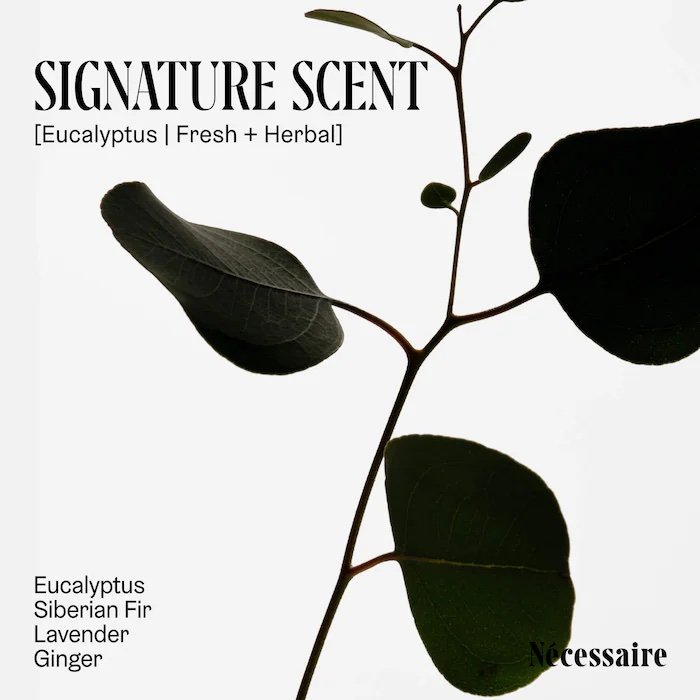 Nécessaire The Body Wipe Eucalyptus 20ct