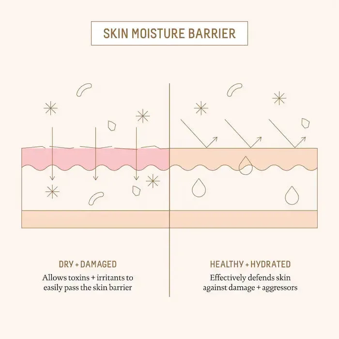 Biossance Ectoin Overnight Rescue Deep Repair Night Moisturizer + Squalane