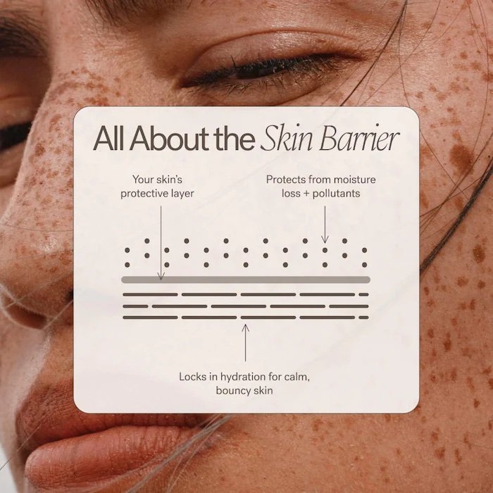 ILIA Barrier Build Skin Protectant Cream – Moisturizer with Ceramides