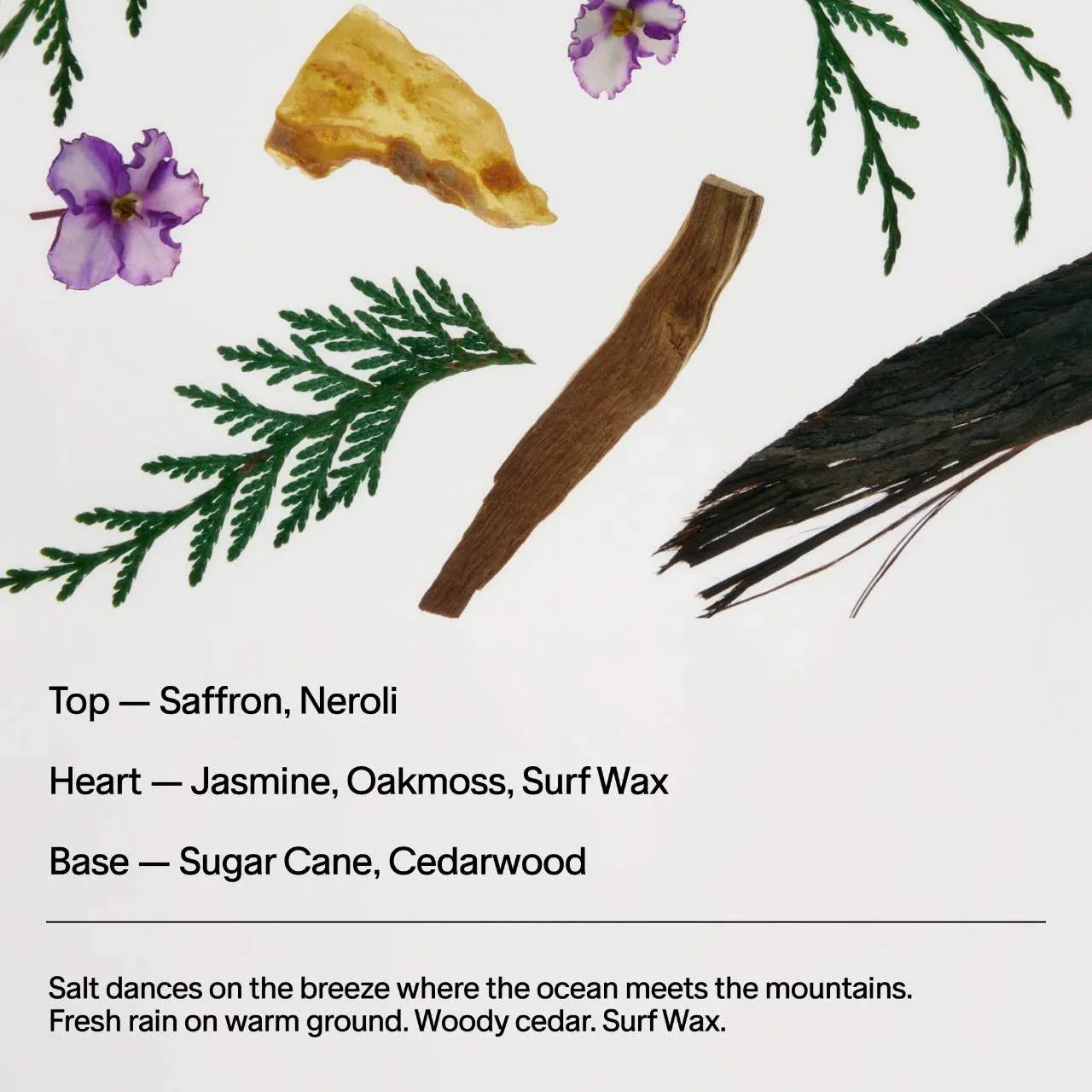 Salt & Stone Saffron & Cedar Body and Hair Fragrance Mist