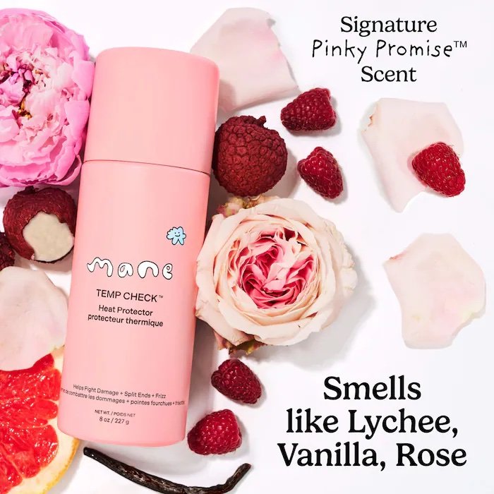 Mane Cloud Pleaser Stylers Kit