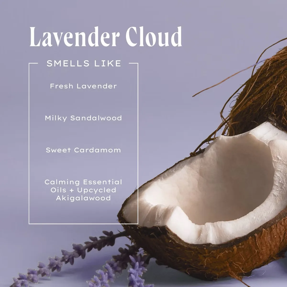 Being Frenshe Lavender Cloud Restore Shampoo