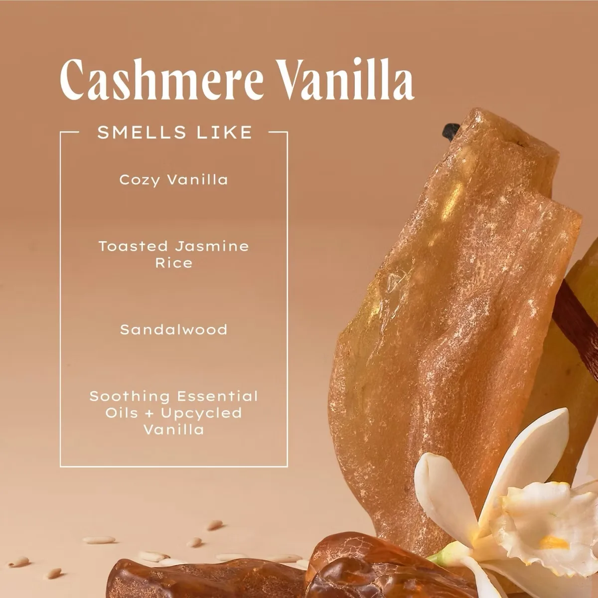 Being Frenshe Cashmere Vanilla Moisture Shampoo